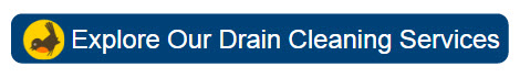 drain cleaning CTA