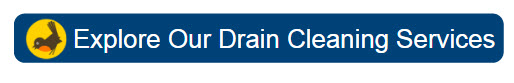 drain cleaning services CTA